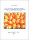 01 - Denise de Carvalho P Campos - D 2001.pdf.jpg