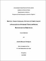 2000 - Janaina Marques Rodrigues.pdf.jpg