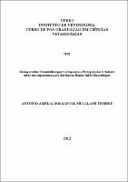 2012 - Antonio Amélia dos Santos Mucalane Tembue.pdf.jpg