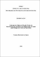 2010 - Vinícius Machado dos Santos.pdf.jpg