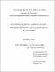 2001 - Jerri Édson Zilli.pdf.jpg
