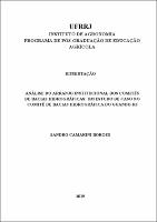 2019 - Sandro Camarini Borges.pdf.jpg